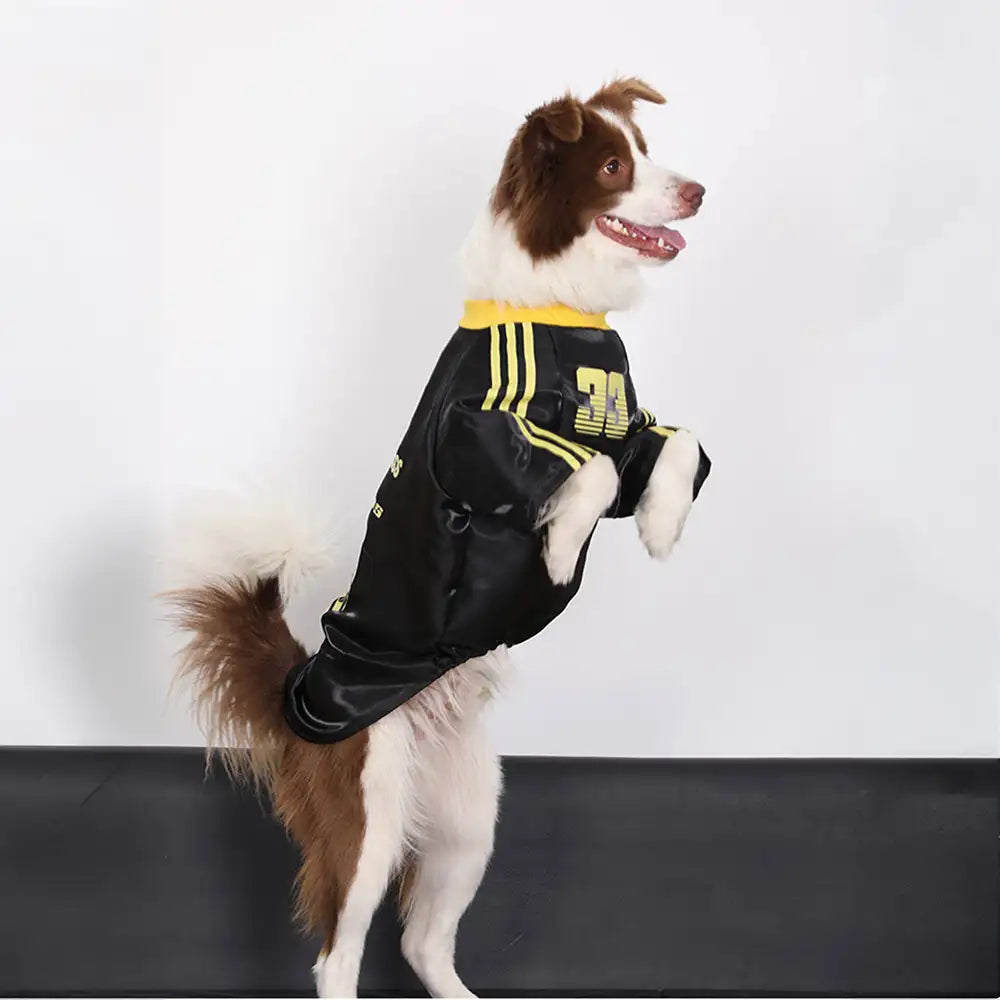 Gestreiftes retroreflektierendes Hund T-Shirt für alle Rassen