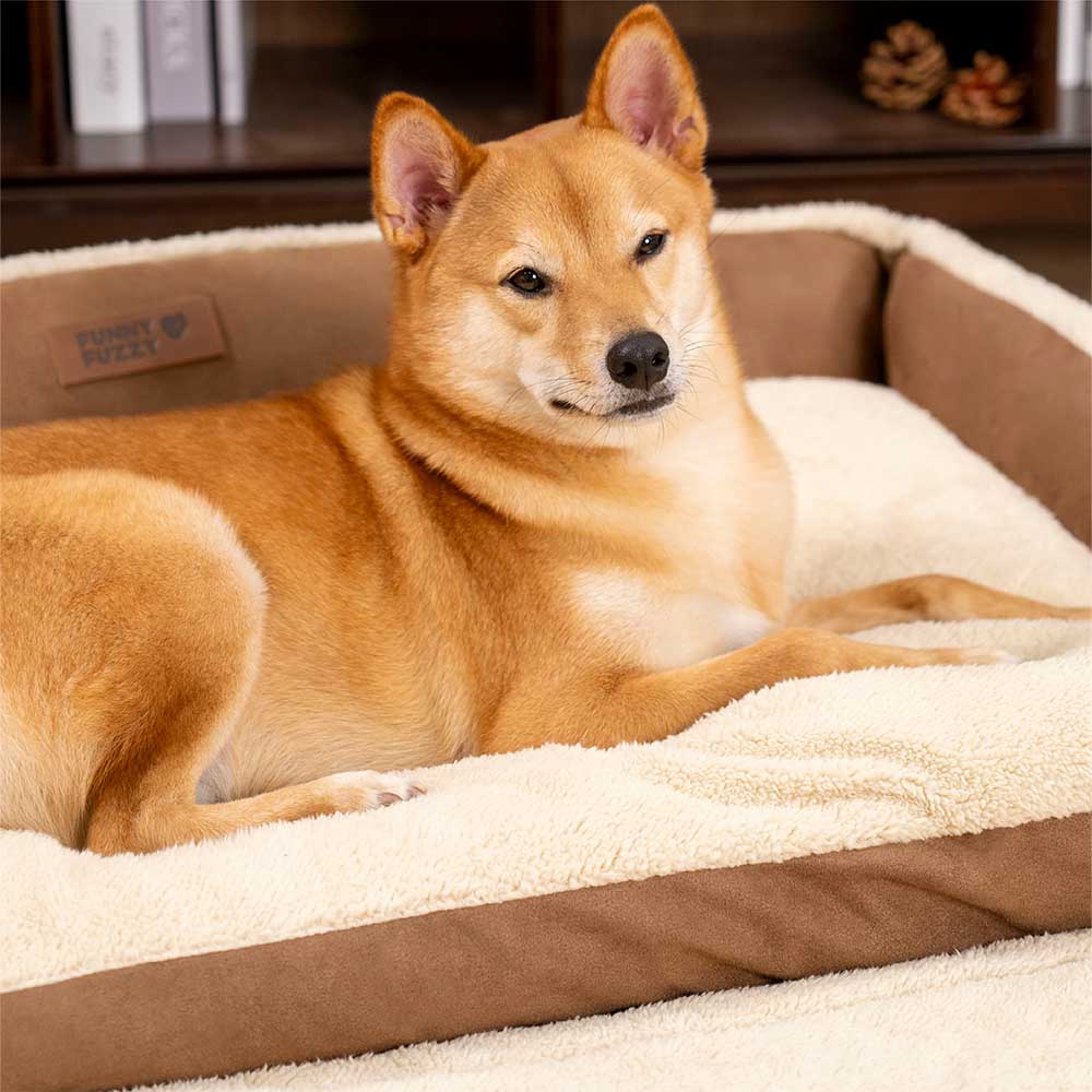 Stilvolles Erweiterbares Ergonomisches Beruhigendes Hundebett – Tranquil Paws