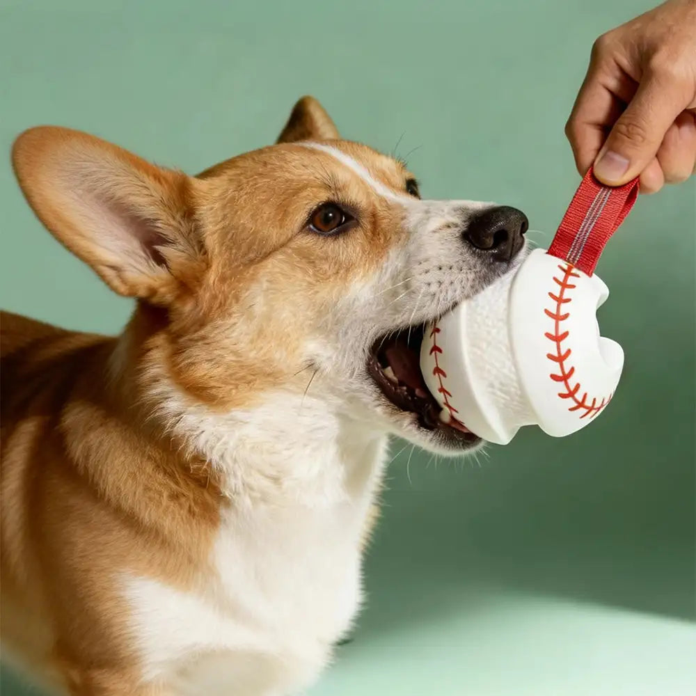 Zahnen & Spielen Elastisches Interaktives Hundekauspielzeug