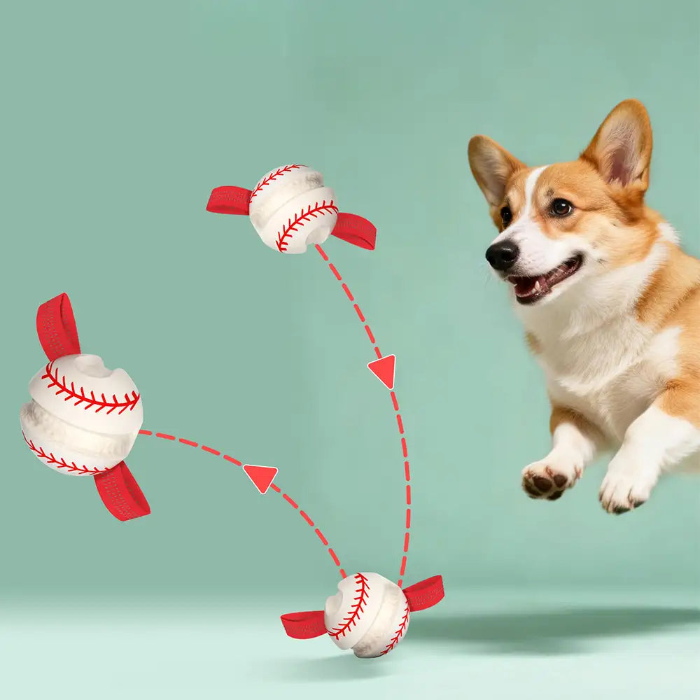 Zahnen & Spielen Elastisches Interaktives Hundekauspielzeug