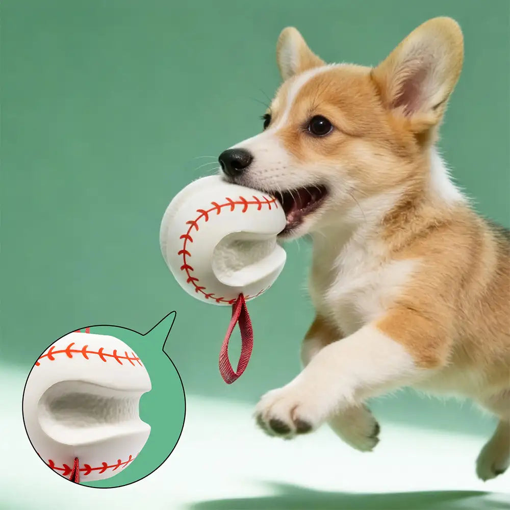 Zahnen & Spielen Elastisches Interaktives Hundekauspielzeug