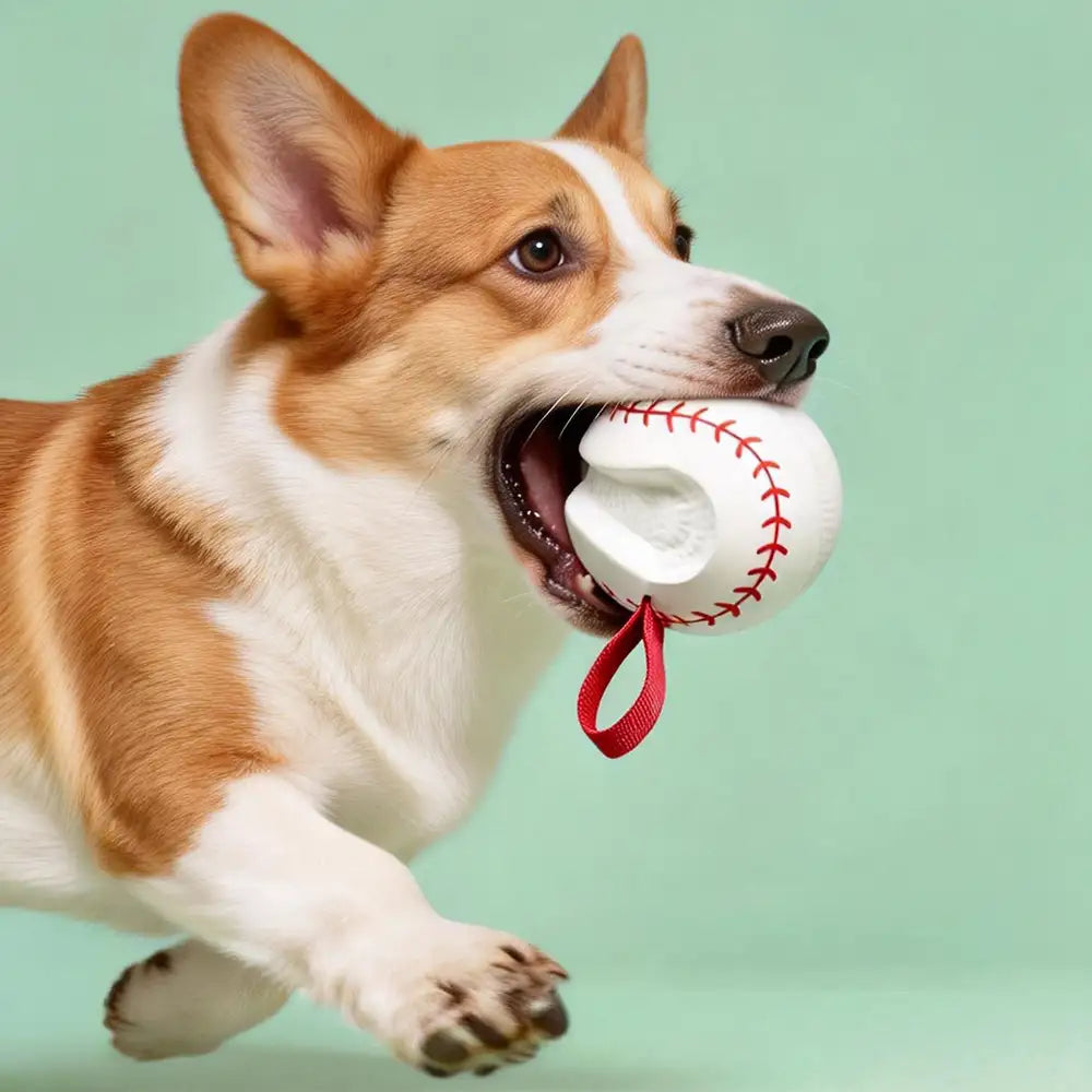 Zahnen & Spielen Elastisches Interaktives Hundekauspielzeug