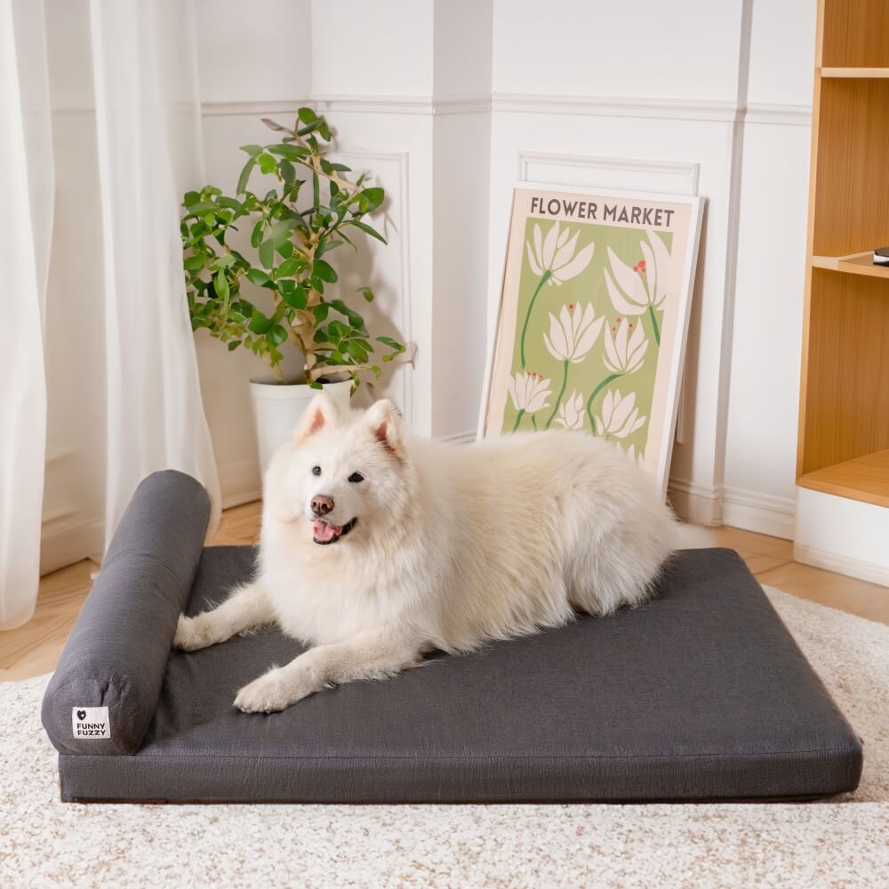 Dicker abnehmbarer orthopädischer wasserdichter Hundebett