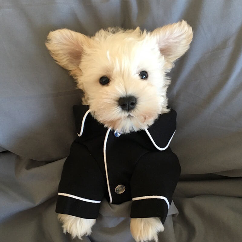 Dünner Bequemer Haarabweisender Passender Pyjamas für Hunde und Menschen