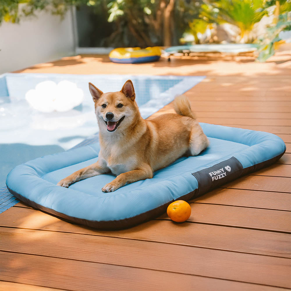 Wasserfestes und bissfestes Memory-Schaum-Orthopädisches Hundematte für die Hundebox