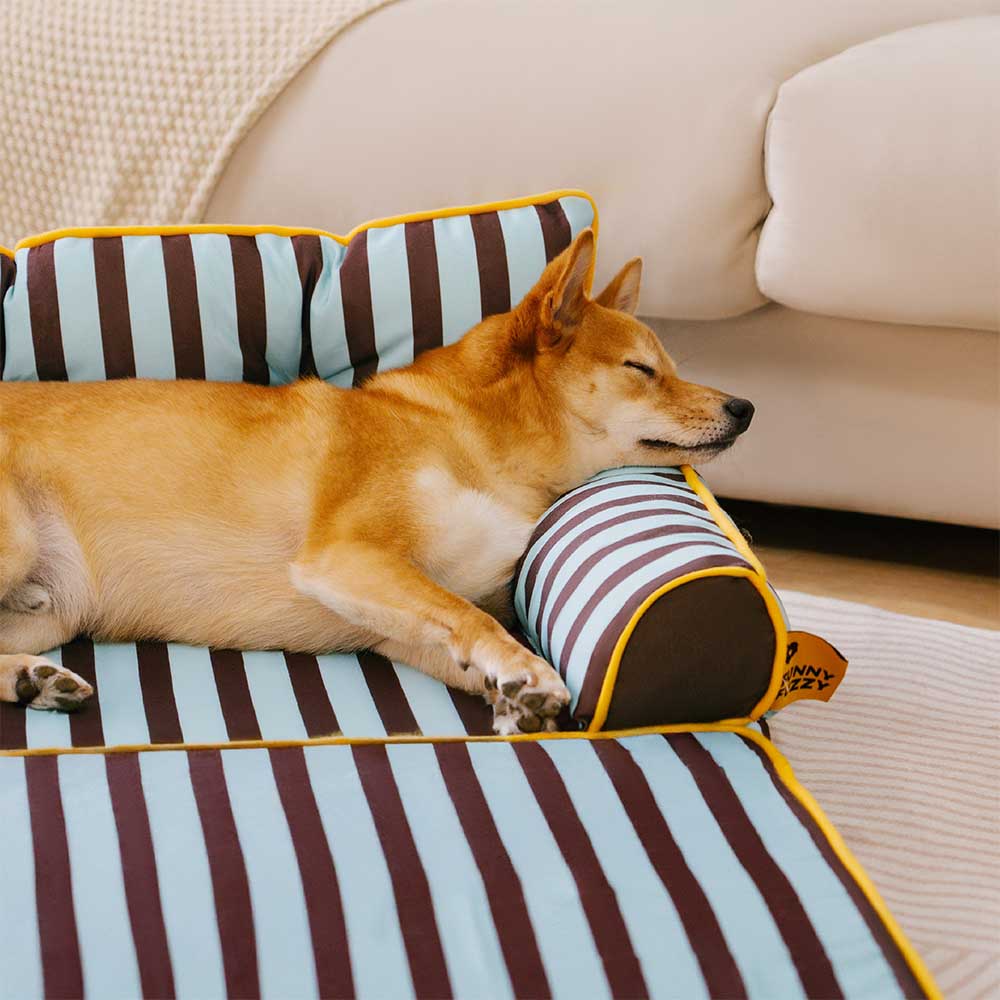 Streifen Wasserdichter Faltbarer großer Hundesofa-Bett für die Kiste