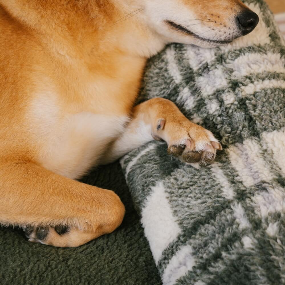 Waschbares Beruhigendes Schlafsofa für Hunde und Katzen im Vintage-Karosstil