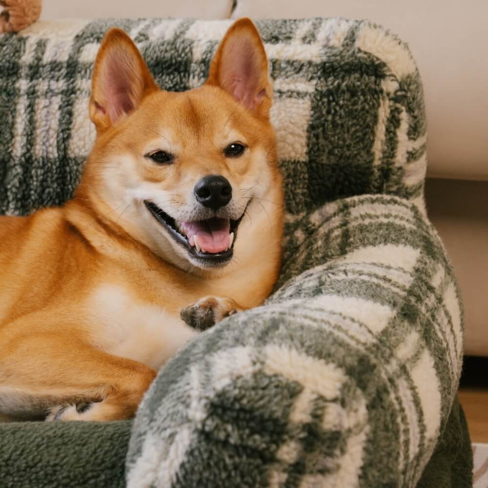 Waschbares Beruhigendes Schlafsofa für Hunde und Katzen im Vintage-Karosstil