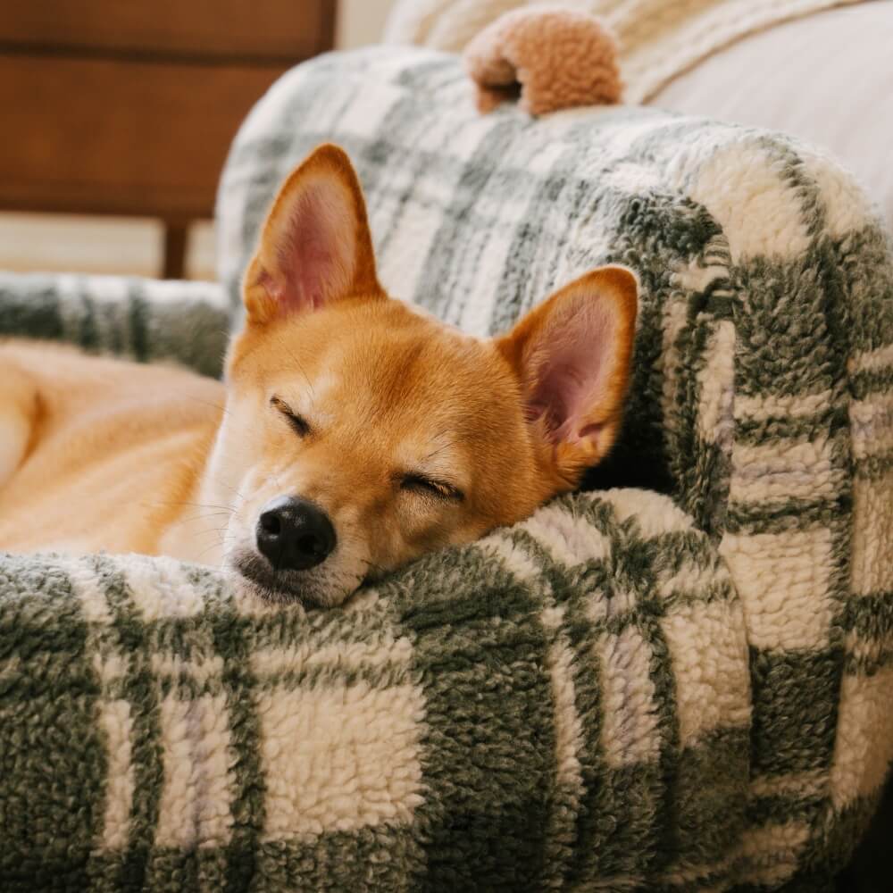 Waschbares Beruhigendes Schlafsofa für Hunde und Katzen im Vintage-Karosstil