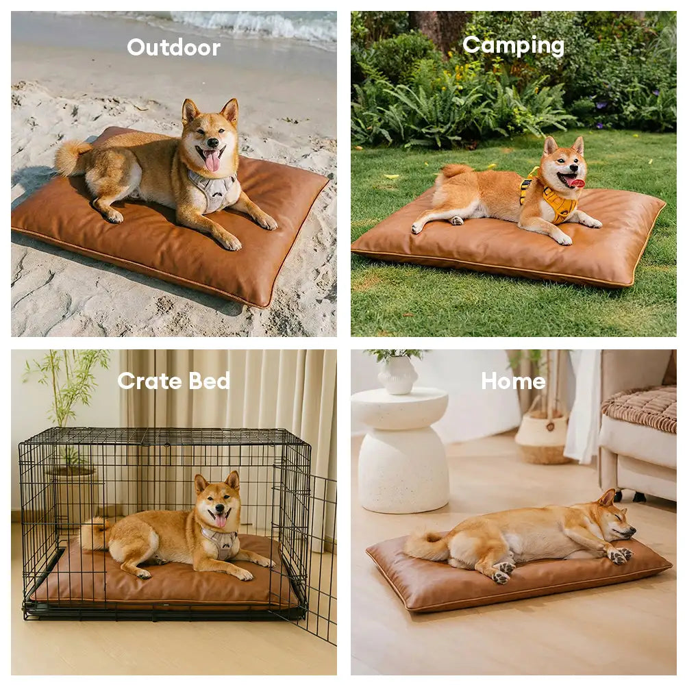 Wasserabweisende, kratzfeste doppelseitige waschbare Hundematte