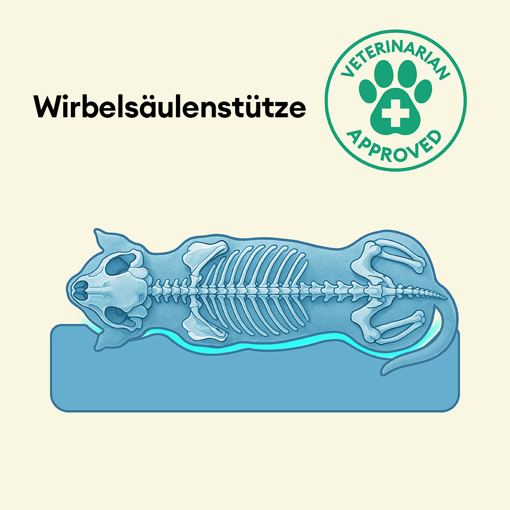 Vollständig Orthopädisches Wasserdichtes Hundebett mit Rundum-Unterstützung für Große Hunde