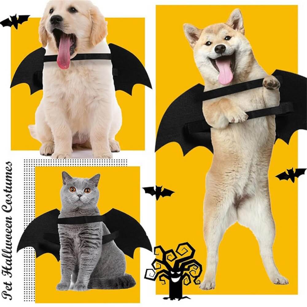 Leuchtendes Totenkopf-Fledermausflügel-Halloweenkostüm für Hunde | Requisiten für Rollenspiele mit Haustieren