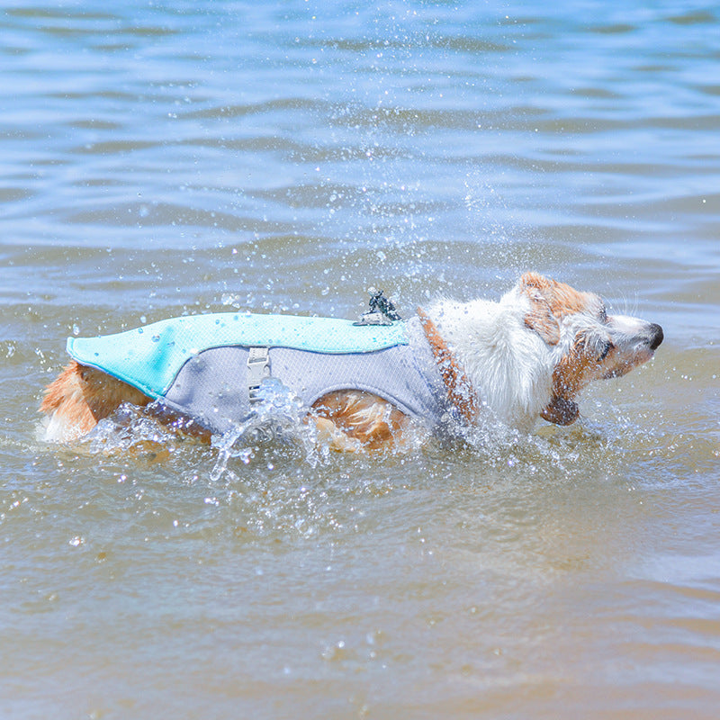 Atmungsaktive Weste zur Vorbeugung von Sonnenstichen Wassertränkbare Kühlweste für Hunde