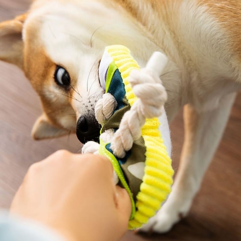 Beißspielzeug für Hunde in Schuhform aus Baumwollseil