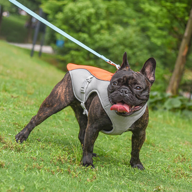 Atmungsaktive Weste zur Vorbeugung von Sonnenstichen Wassertränkbare Kühlweste für Hunde
