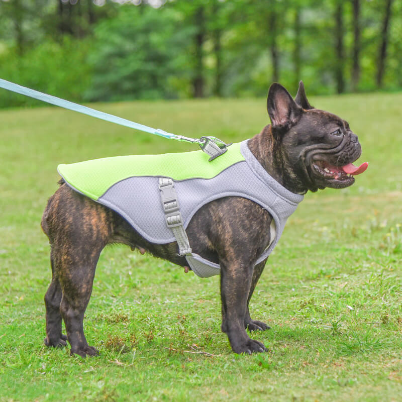 Atmungsaktive Weste zur Vorbeugung von Sonnenstichen Wassertränkbare Kühlweste für Hunde