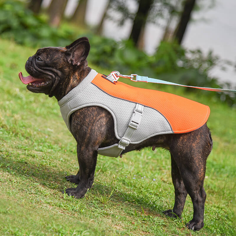 Atmungsaktive Weste zur Vorbeugung von Sonnenstichen Wassertränkbare Kühlweste für Hunde