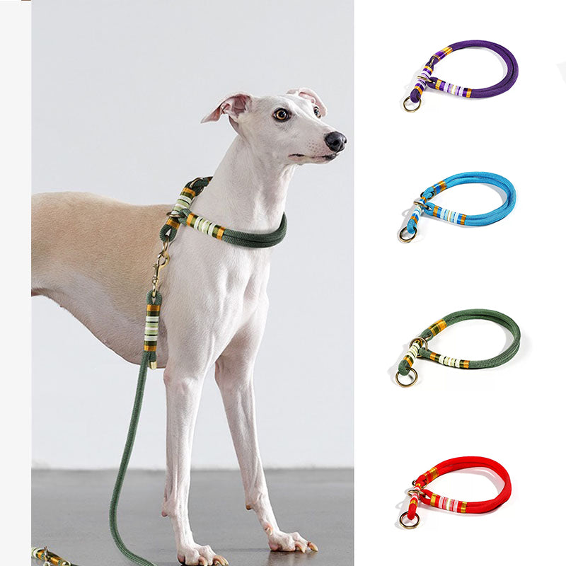 Handgestricktes geflochtenes Seil Kein Ziehen Cooles Hundezubehör Trainingshalsband