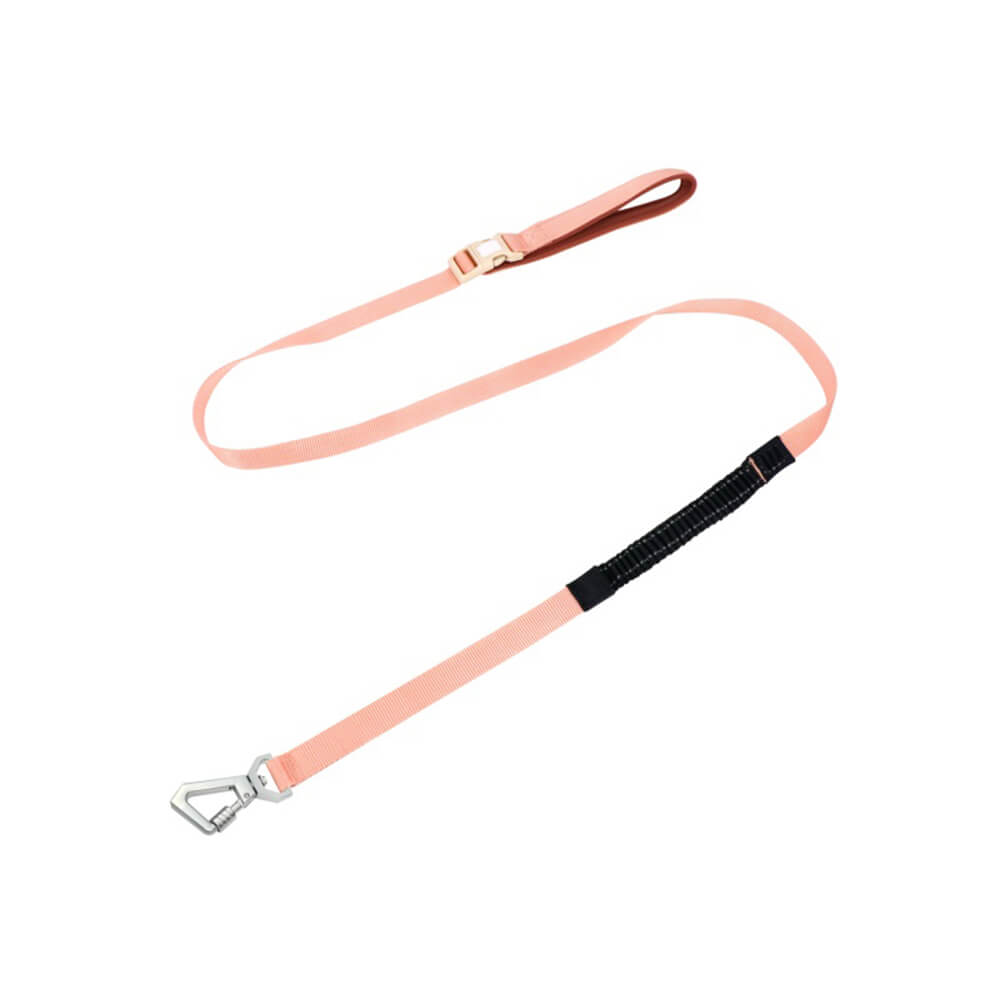 Leichtes Wasserdichtes Atmungsaktives Anti-Zug-Hundegeschirr oder Multifunktionsleine