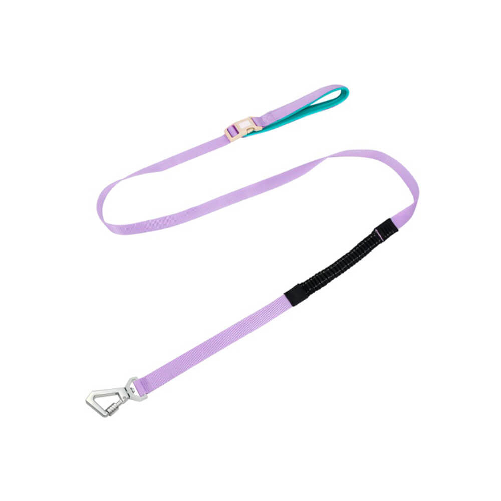 Leichtes Wasserdichtes Atmungsaktives Anti-Zug-Hundegeschirr oder Multifunktionsleine