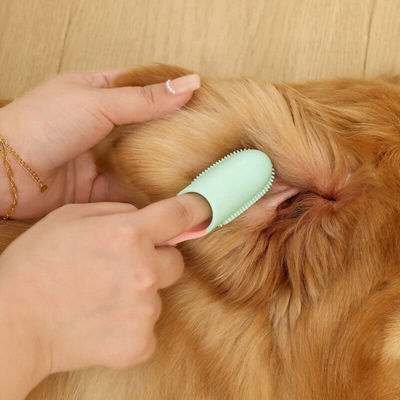 Haustierzahnbürste Fingerzahnbürste zur Zahnreinigung