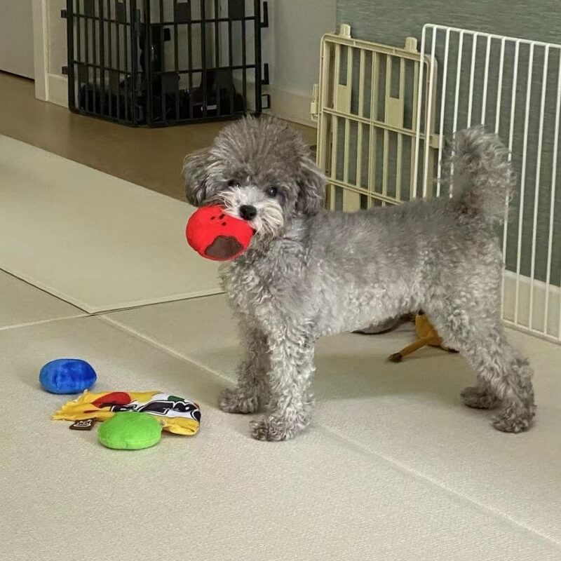 Plüsch-Süßigkeitenspielzeug Tibetisches Futterspielzeug Hundespielzeug