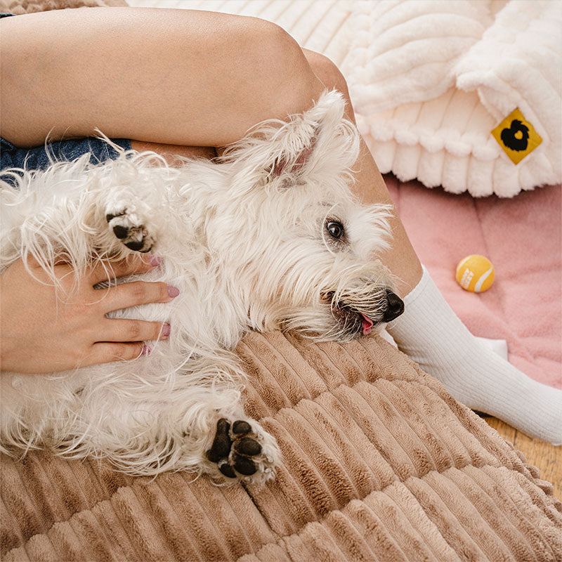 Waffle-Keks Sofabezug - Gemütliches Weiches Atmungsaktives Flanell Haustiermatte - Genießen Sie köstlichen Komfort!