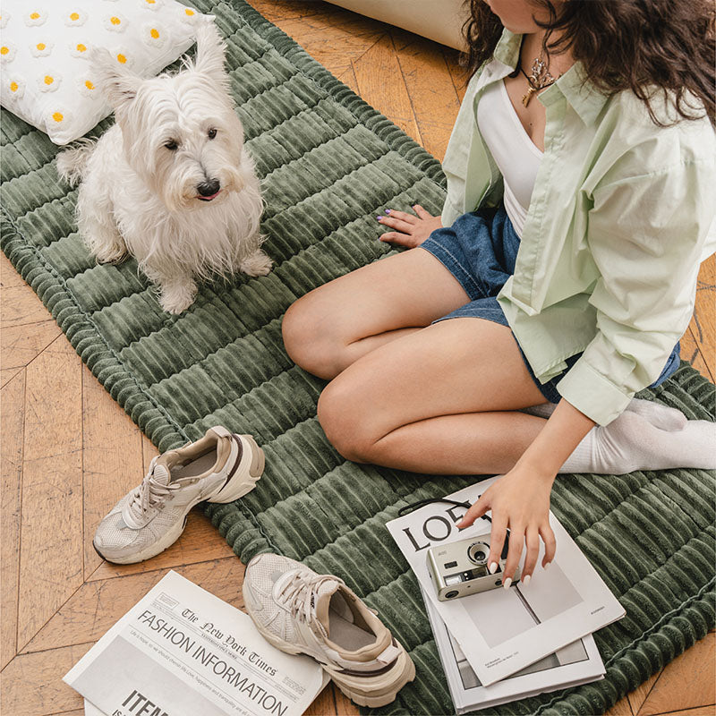Waffle-Keks Sofabezug - Gemütliches Weiches Atmungsaktives Flanell Haustiermatte - Genießen Sie köstlichen Komfort!