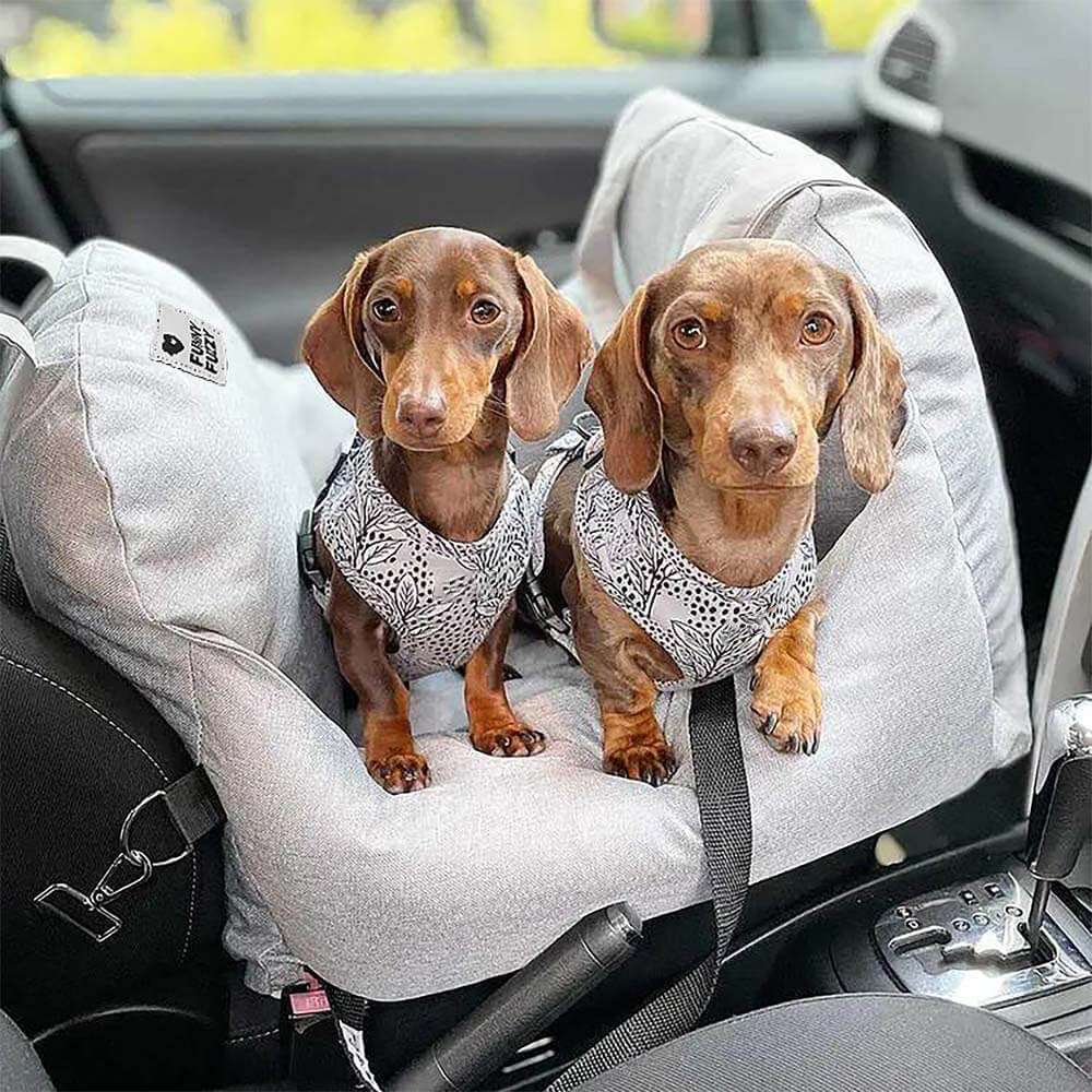 Sicheres Abnehmbares Hunde-Autositzbett | Erste Klasse