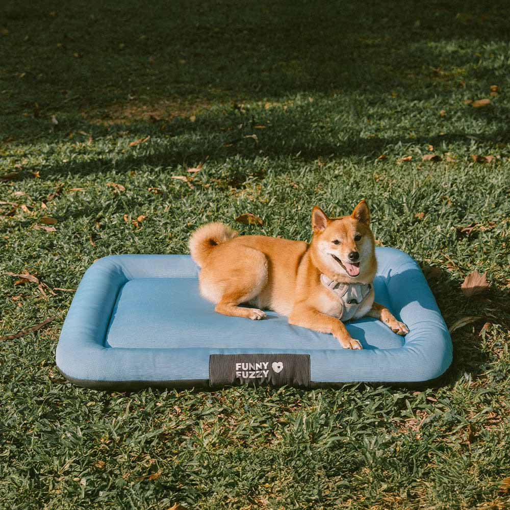 Wasserfestes und bissfestes Memory-Schaum-Orthopädisches Hundematte für die Hundebox