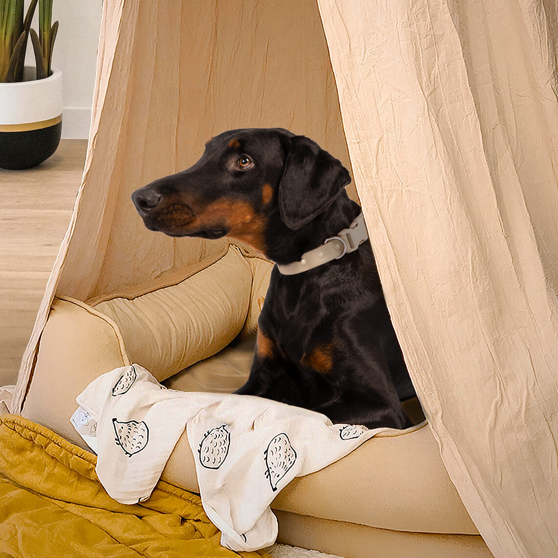 Stilvolles Weiches Gemütliches Hundezelt Hunde-Tipi