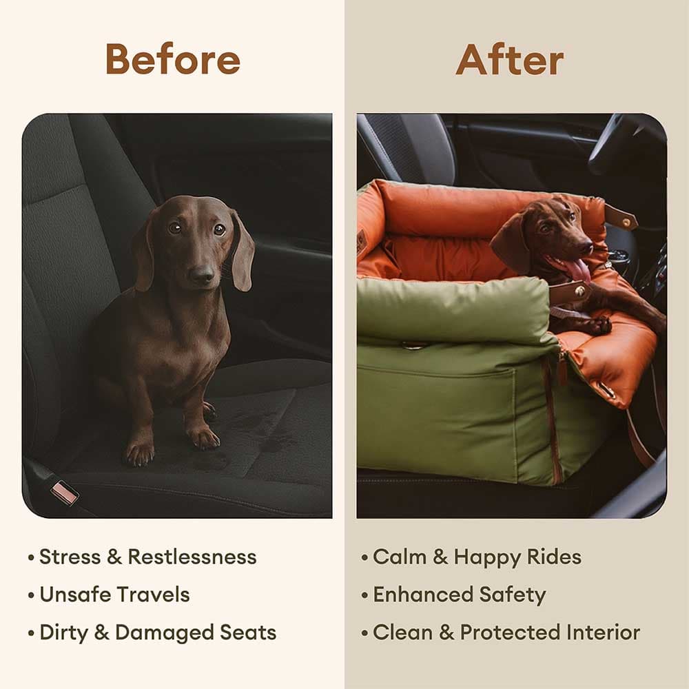 Städtischer Reisender Tragbares Hundewagen-Boosterbett - Roadtrip