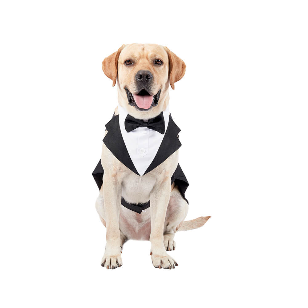 Hund Kleidung Hochzeit Fliege Anzug Kleid