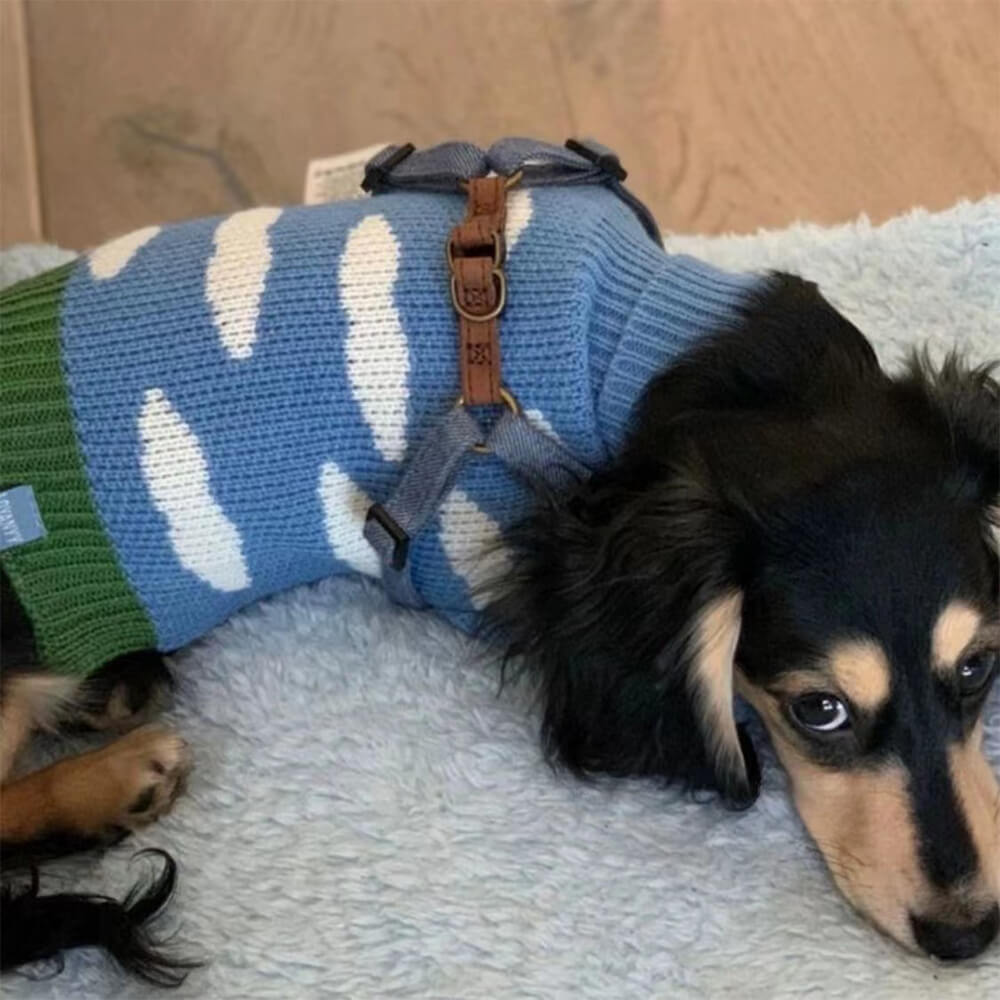 Warmer Rollkragenpullover für Hunde mit Himmelwolken-Motiv Passende Socken für Hunde und Besitzer