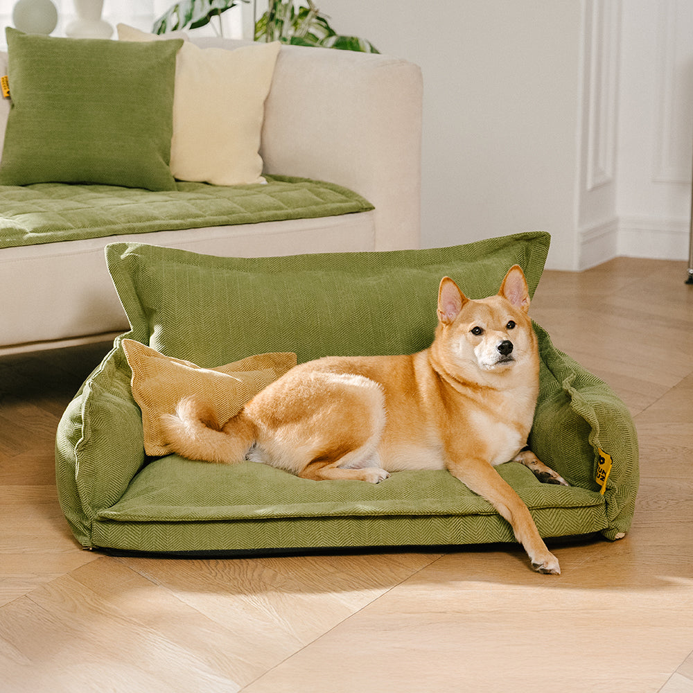 Allwetter Hundebett aus Chenille – Orthopädisch Abnehmbar & Mit Kissen