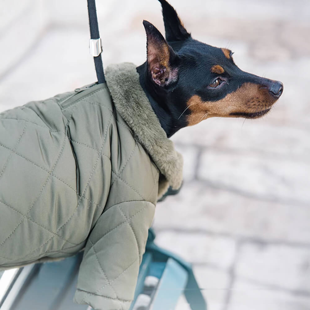 Kuscheliger warmer Hundemantel aus Kunstpelz mit Rollkragen und Druckknöpfen