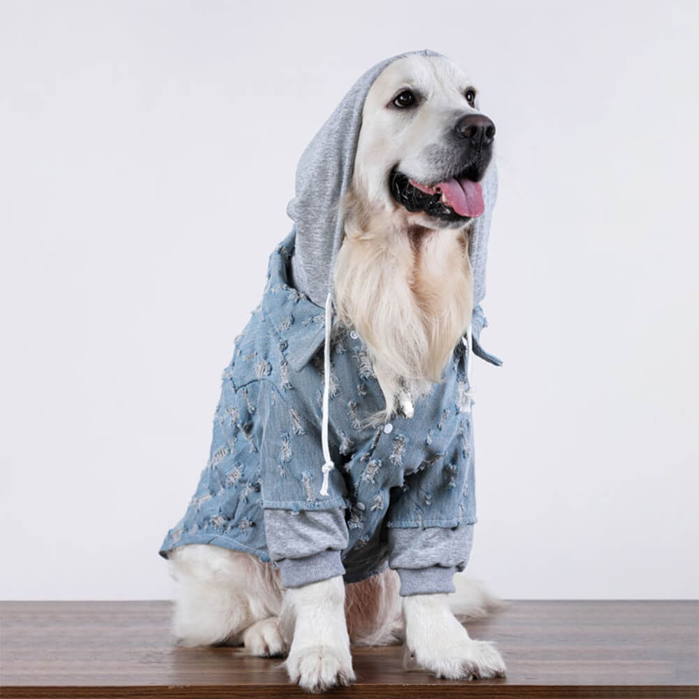 Hübsche zerrissene Denim Hund Hoodie Jacke Shirt Kleidung