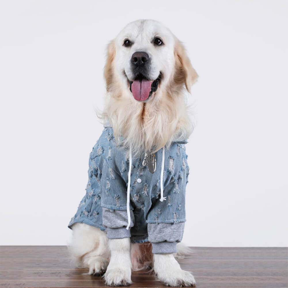 Hübsche zerrissene Denim Hund Hoodie Jacke Shirt Kleidung