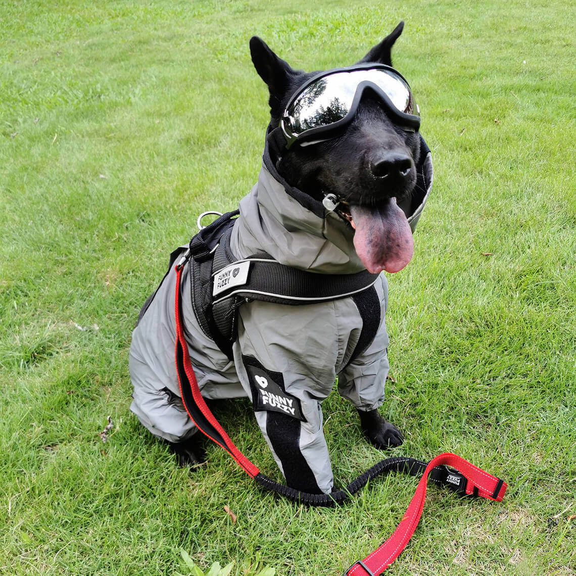 Reflektierender Wetterfester Wasserdichter Cooler Hunde-Regenmantel