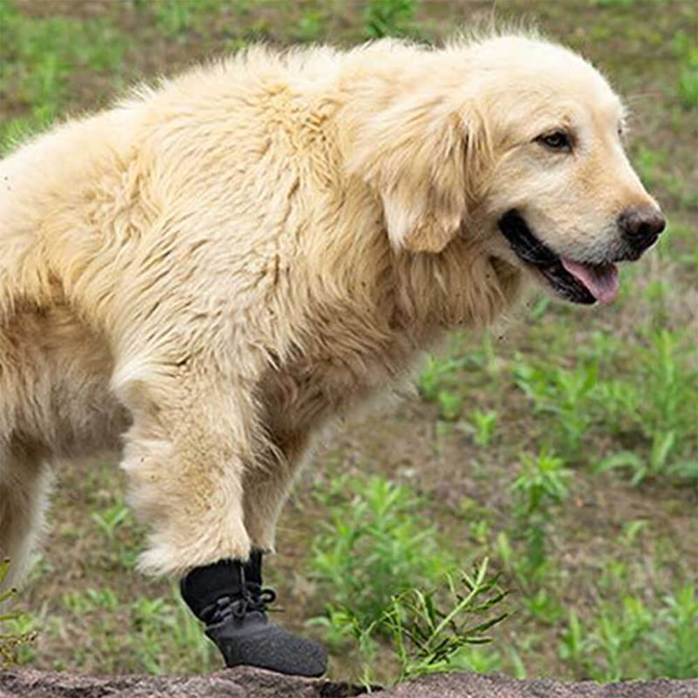 Wasserdichte Atmungsaktive Hundestiefel für den Außenbereich zum Wandern und Laufen