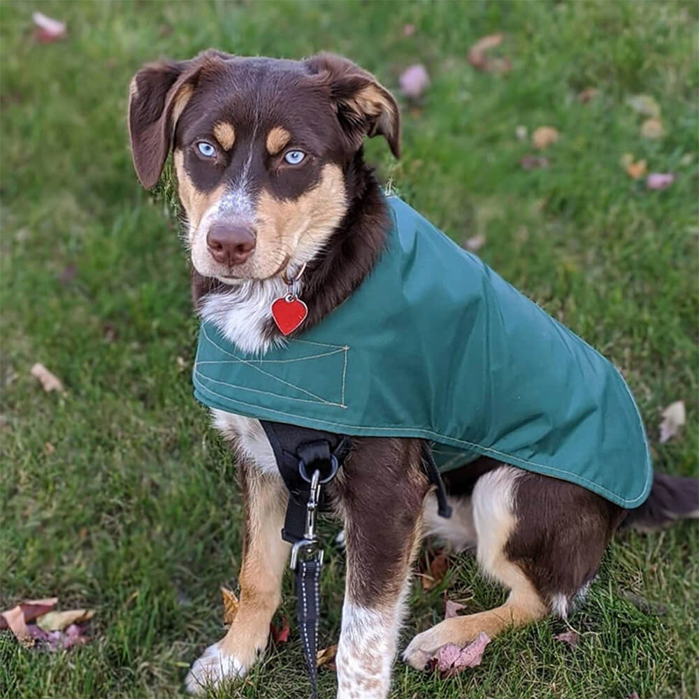 Stilvoller Leichter Wasserdichter Outdoor-Regenmantel für Hunde mit Klettverschluss