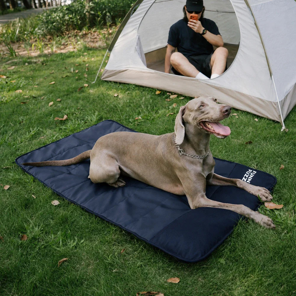 Transportable wasserdichte Hundematte - Urbanes Umherstreifen