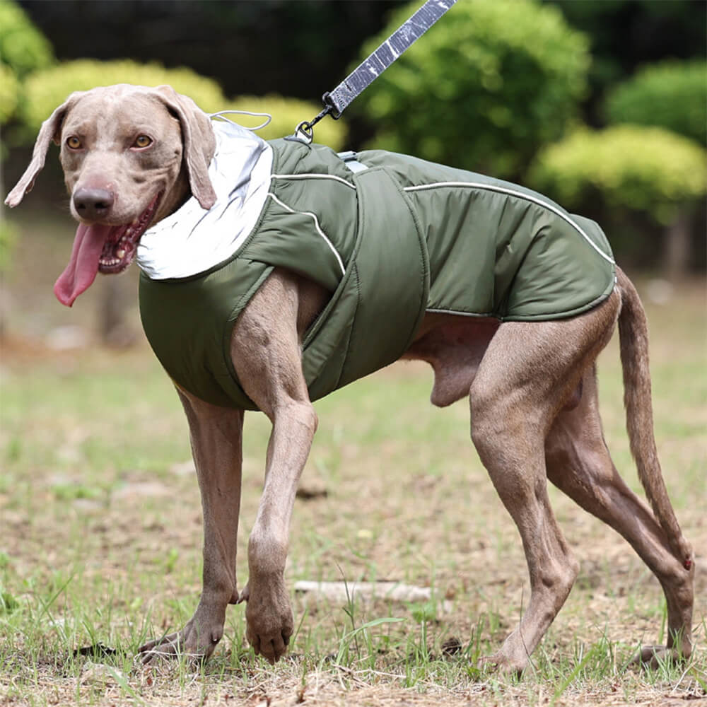 Wasserdichte Jacke Warme Hohe Kragen Reflektierende Hundekleidung