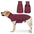 Winddichter und wasserabweisender Hundemantel - Ideal für große Hunde