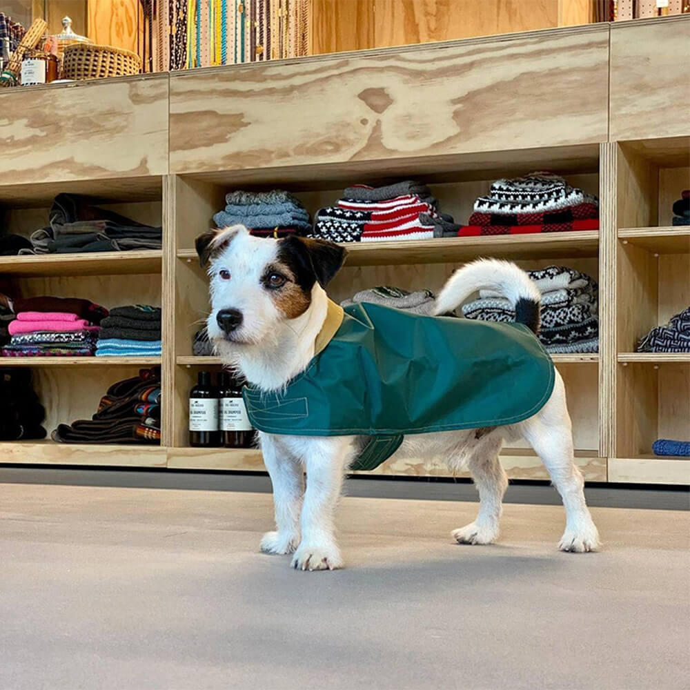 Stilvoller Leichter Wasserdichter Outdoor-Regenmantel für Hunde mit Klettverschluss