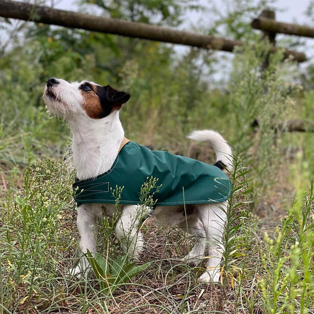 Stilvoller Leichter Wasserdichter Outdoor-Regenmantel für Hunde mit Klettverschluss