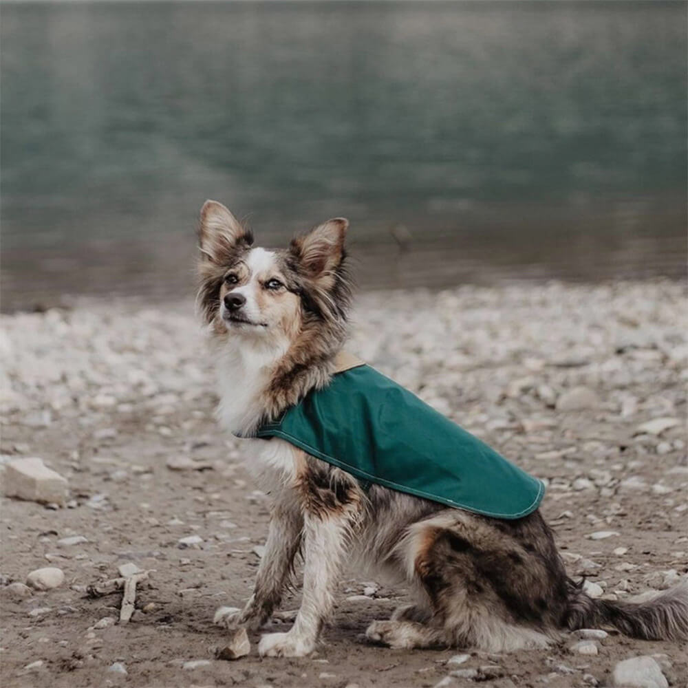 Stilvoller Leichter Wasserdichter Outdoor-Regenmantel für Hunde mit Klettverschluss