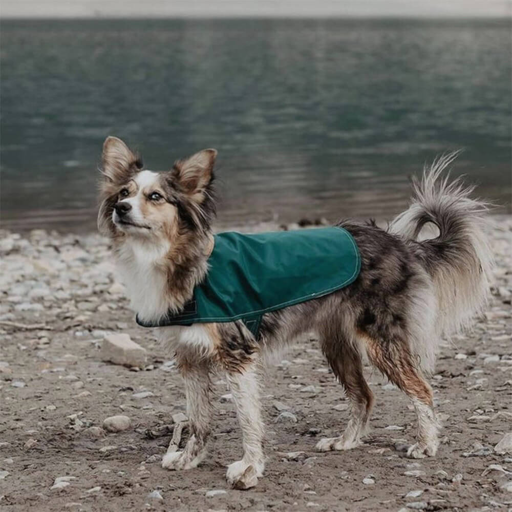 Stilvoller Leichter Wasserdichter Outdoor-Regenmantel für Hunde mit Klettverschluss