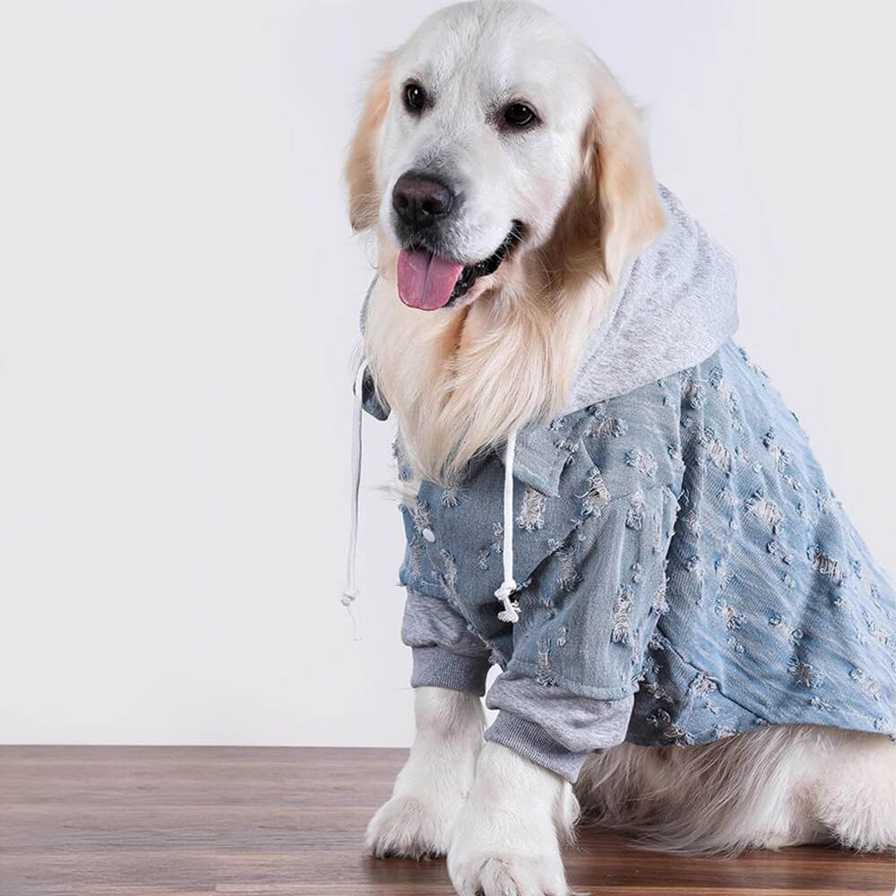 Hübsche zerrissene Denim Hund Hoodie Jacke Shirt Kleidung