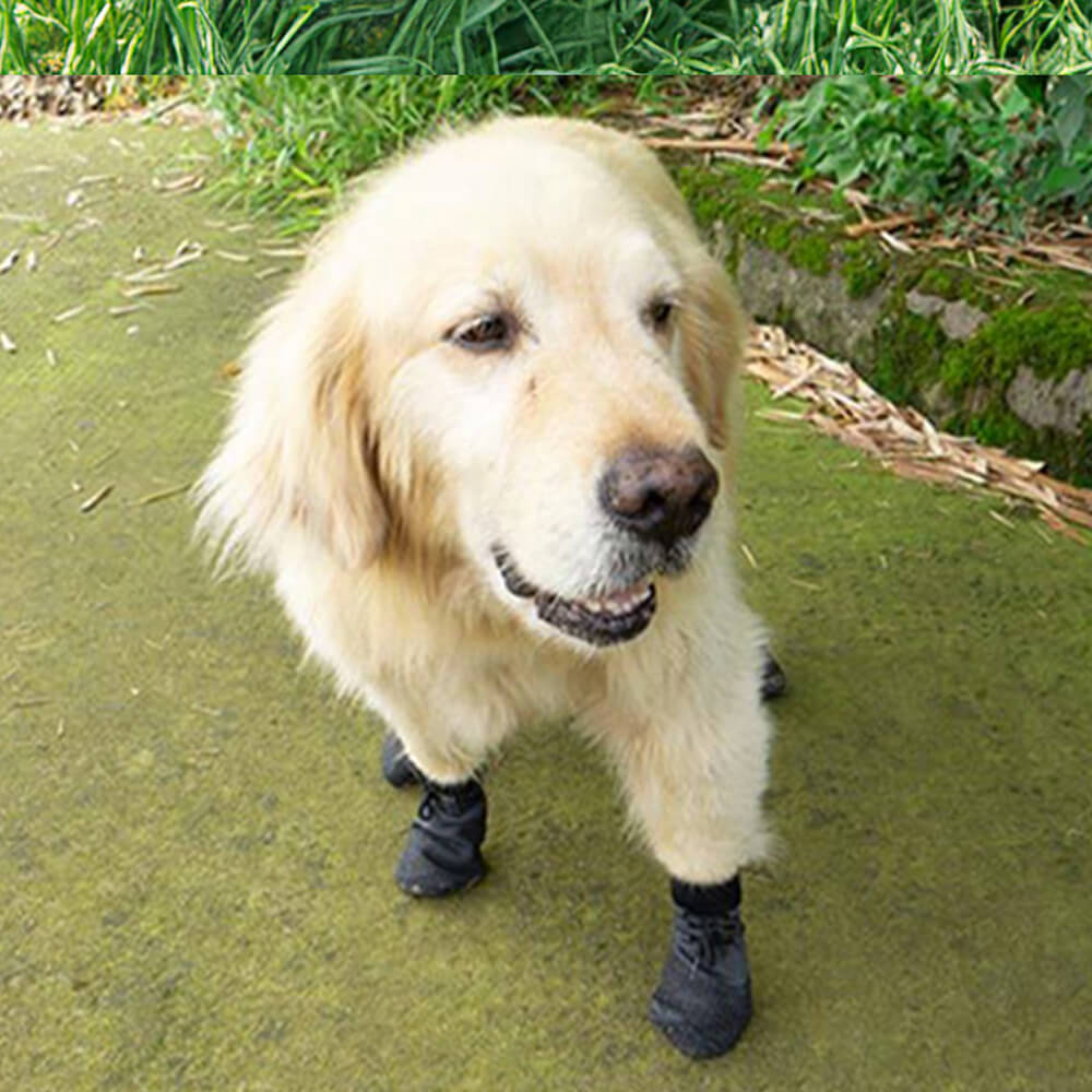 Wasserdichte Atmungsaktive Hundestiefel für den Außenbereich zum Wandern und Laufen